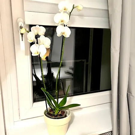 Tolles Neues Mit Balkon, Ebk, Wlan, Smart Tv, Netflix *