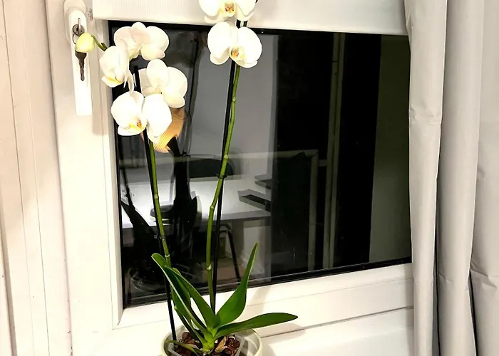 Tolles Neues Mit Balkon, Ebk, Wlan, Smart Tv, Netflix *